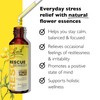 RESCUE Bach RESCUE REMEDY Dropper 20mL, Natural Stress Relief, Homeopathic