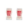 [Set of 2] Ford Hair Mochure Astalino N 17.6 oz