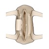 GUESS Helina Tote, Bone