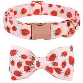 Lionet Paws Dog Collar with Bowtie - Summer Cute Cotton Adjustable Bowtie Dog Cat Collar with Metal Buckle for Puppy Girl Boy Gift, XXS, Neck 7-11in