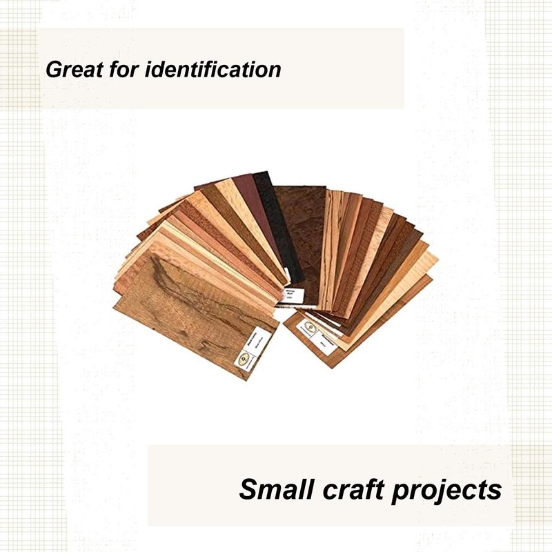 Sauers Exotic Species Wood Identification Kit & Wood Veneer Sample