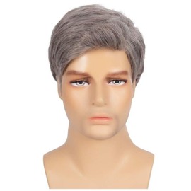 Siudus Mens Light Brown and Grey Short Wig Straight Side Part Synthetic Heat Resistant Fiber Old Men Hair Wig for Daily Use