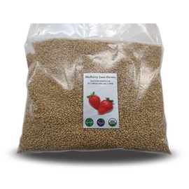 Soft White Wheat Berries 4 Pounds Kernels, USDA Certified Organic, Non-GMO Bulk, Product of USA, Mulberry Lane Farms