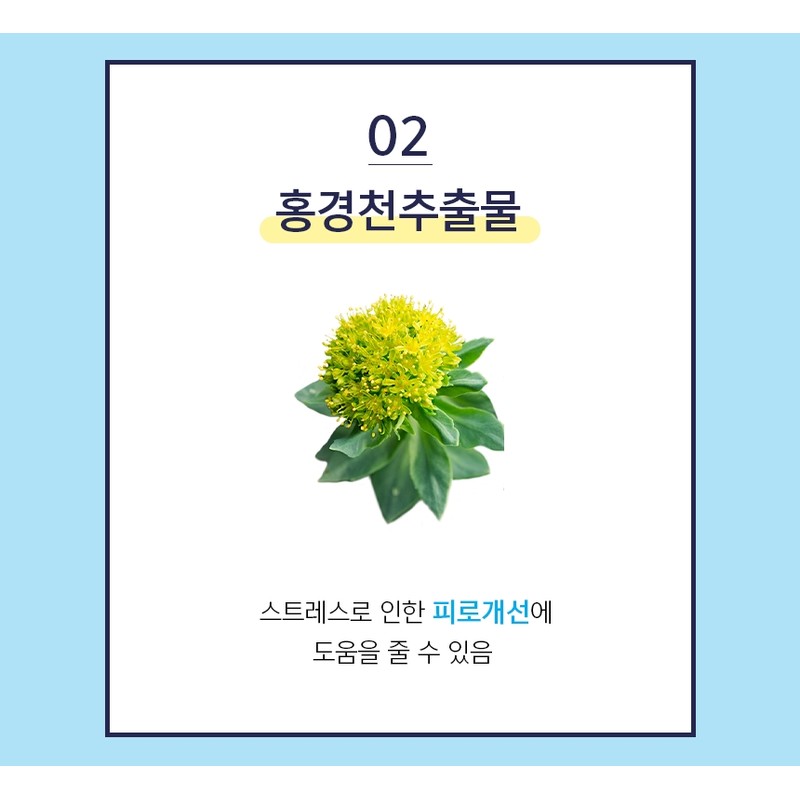 Hanmi Hepa Care Gold 180 Capsules Milk Thistle Extract Rhodiola