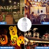 Feekoon 3 Pcs Light Socket to Plug Adapter, E26 Lamp