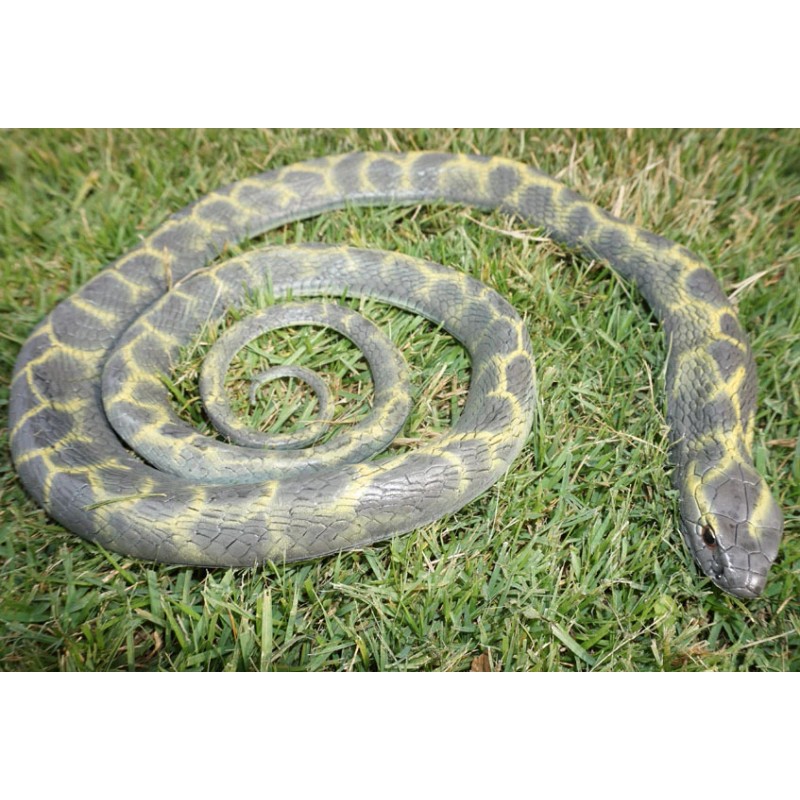 5' Realistic Chain King Snake Replica - Rubber