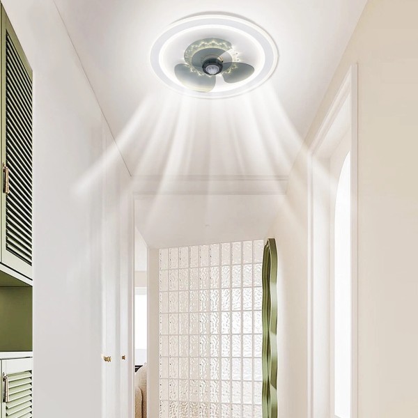 LED Ceiling Fan Light with Remote Dimmable For Living Room
