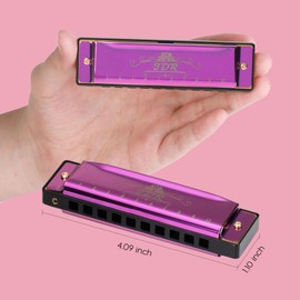 Harmonica, Key of C, Blues, Armonica, 10 Holes, 20 Tones, with Case, Mouth Organ, Standard, Diatonic, for Kids, Beginners, Adults, Professional Players, Teachers, Parents, Students, Purple