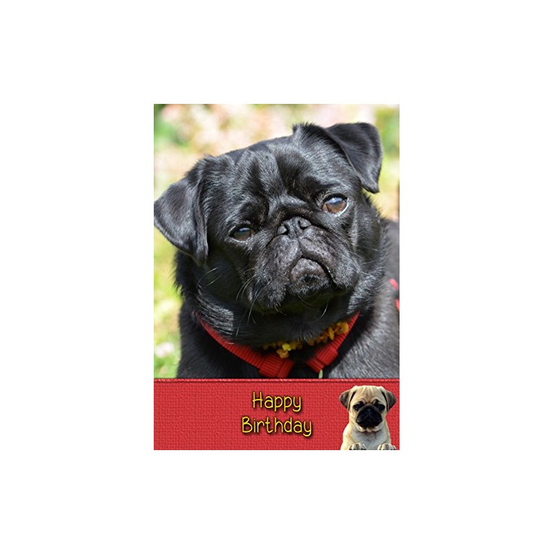 Pug Birthday Card