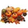 winemana Thanksgiving Artificial Pumpkins Home Decoration Set, Mixture of 50