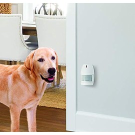 U.S. Patrol- Wireless Watchdog-Personal Security Monitor (Extra Transmitter)