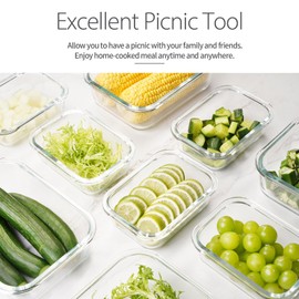 AILTEC 10 Pack Glass Meal Prep Containers, Glass Food Storage Containers with Lids Airtight, Glass Storage Container Set with Lid for Food, Bpa-free, Leak-proof, Microwave Oven Freezer Dishwasher Safe