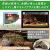 RedBeryl Reptile Shelter Rock Shelter Hideaway Lizard Turtle Amphibian (Brown