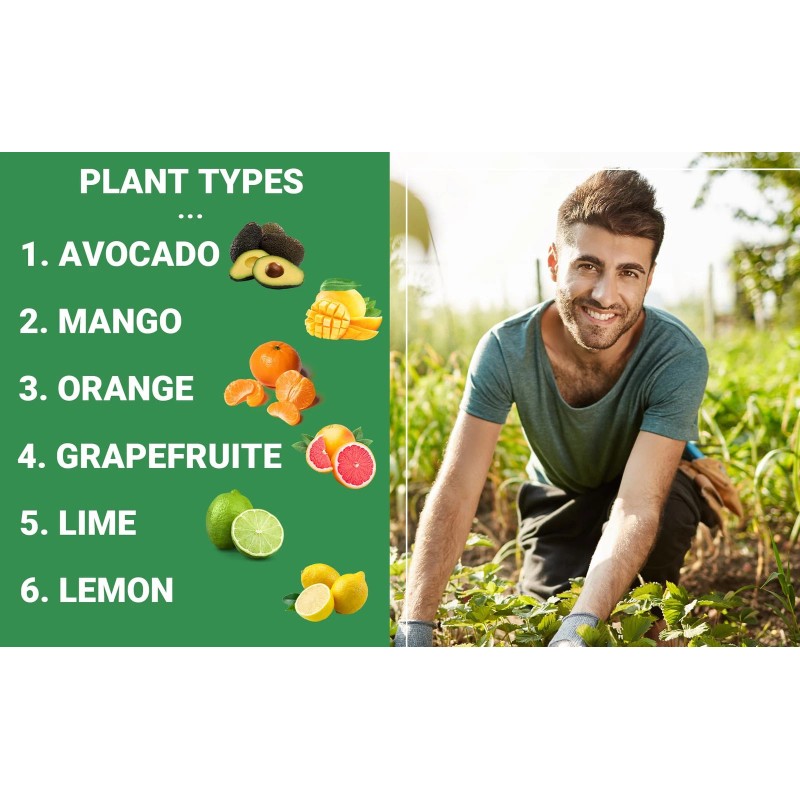 Gardenwise 6 4 6 Fertilizer for Citrus and Avocado Trees