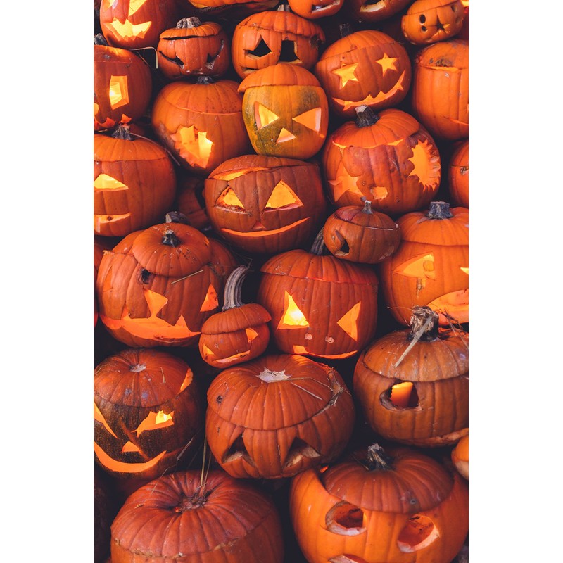 Pumpkin Masters Pumpkin Carving Kit 360 Degree Carving Kit