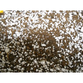 Unbranded Organic Succulent Cactus Sphagnum Peat Moss/Perlite 50/50---5 CUPS