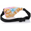 Chums Easy-Go Mini Waist Bag, Men's Shoulder Bag, multicolor