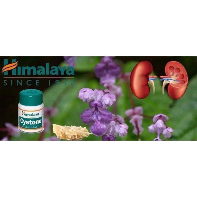 Cystone Himalaya Calculós Renales 2 Pack