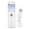Face Mist Sprayer Hydrating Portable USB Steaming Beauty Instrument for