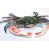 Charlotte International 6 inch Maryland Blue Crab Beach Tiki Bar