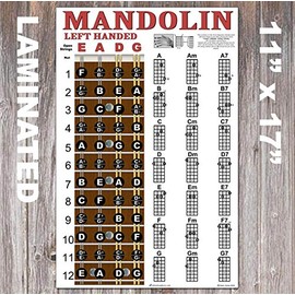 Laminated Left Handed Mandolin Chord & Fretboard Note Chart Instructional Easy Poster for Beginners Chords & Notes A New Song Music 11"x17"