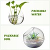 Tofficu Glass Plant Containers 3 Small Vases for Succulents Air