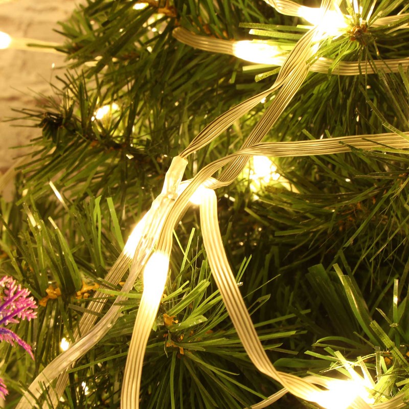 32.8ft 24V String Lights 100LED IP44 Warm Color for Garden