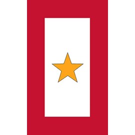 1 Gold Star Military Service Flag Sticker (Decals, Remember The Fallen Decal, Salute Family Member' Vinyl for Cars, Trucks, and Laptops (3 x 5 inch)