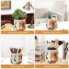 Unique Squirrel Plant Pots Cute Succulent Pots with Drainage Hole