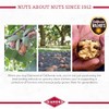 Diamond of California Salted Dark Chocolate Walnut Snack Nuts, 4