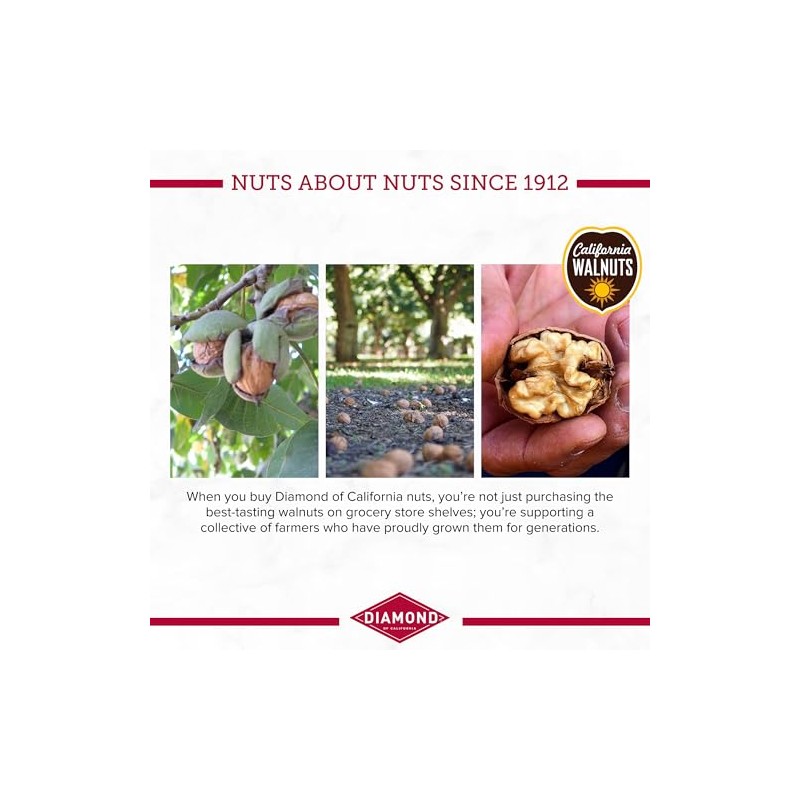 Diamond of California Salted Dark Chocolate Walnut Snack Nuts, 4