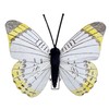 MIK funshopping Colourful Butterfly Clip (Set of 6 Mixed Colours