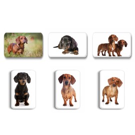 Merchandise for Fans Dachshund / Teckel / Dachshund - 6 Rectangular Fridge Magnets 7 x 4.5 cm - 03 for Memo Board Notice Board Magnetic Board Whiteboard