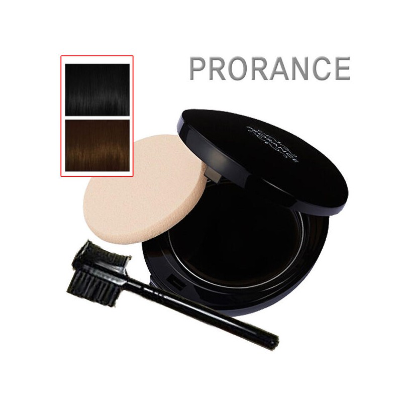 Prolance 10개)프로랑스 새치 커버 헤어 파운데이션 [01호 흑갈색 10개] (10