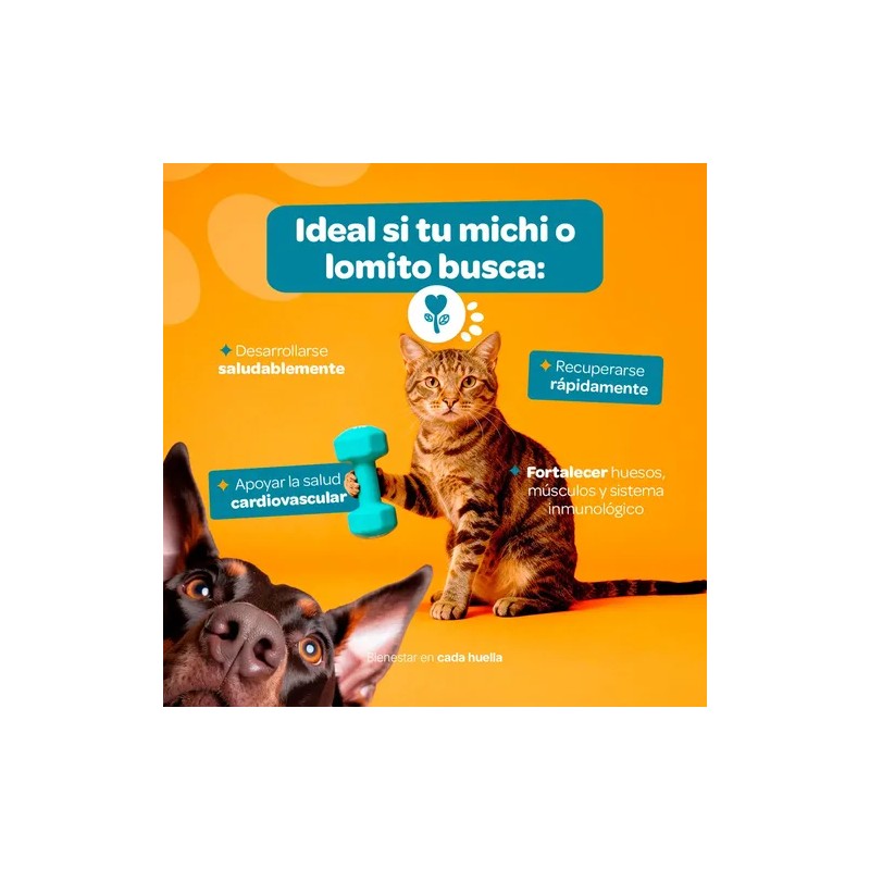 Strong Growth Suplemento Perros Gatos Polvo 350g Pets