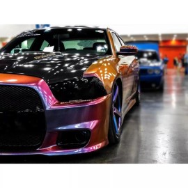 Didspade Custom Paint Additives Superstition ColorShift Pearl 25g Chameleon Mica Pigment Blue Purple Rose Orange