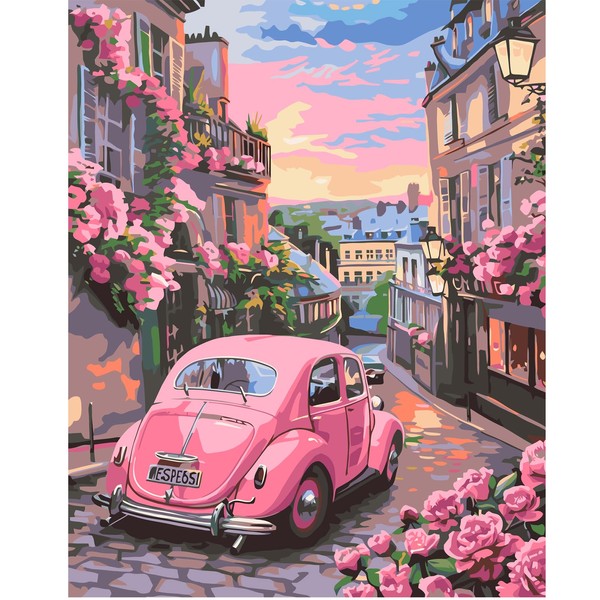 JATOK Paint by Numbers Adults, Paint by Numbers, DIY Car