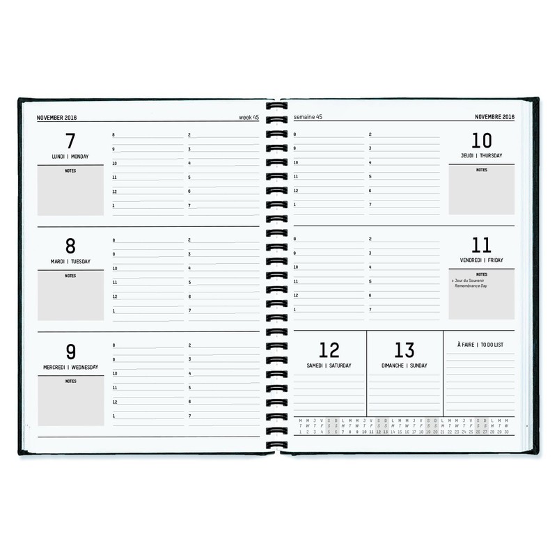 Pierre Belvedere Wire Bound Printed Medium Academic Agenda (4400031)