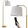 Oneach 62" Arc Floor Lamp for Living Rooms, Gold Tall