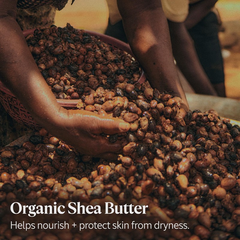 L'Occitane Shea Butter Hands & Body Verbena Extra-Gentle Lotion 10.10