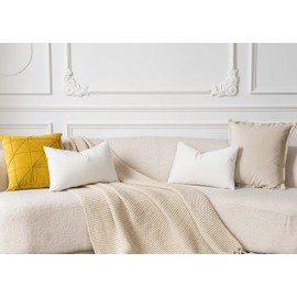 JUSPURBET Cream White Decorative Velvet Throw Pillow Covers 40x60 CM,Pack of 2 Luxury Soft Solid Cushion Cases for Sofa Couch Bed