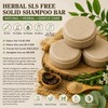 Eternal Handmade Herbal Shampoo Bar No SLS No Sulfate No