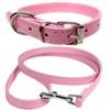 Vibrant Leather Dog Collar & Lead Combo Set for Puppy,