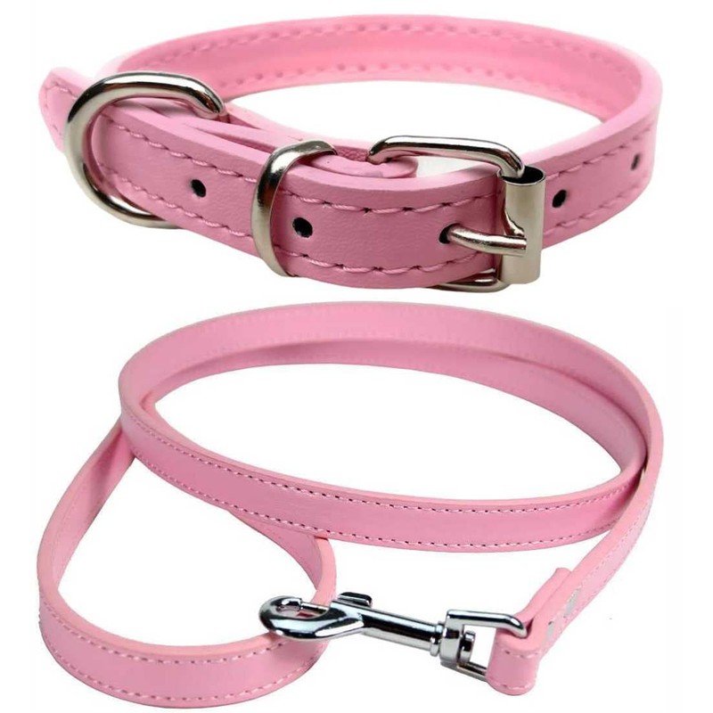 Vibrant Leather Dog Collar & Lead Combo Set for Puppy,