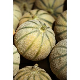 Serendipity Seeds Vegetable Seeds- Hearts of Gold Cantaloupe -20 seeds- Early melon