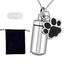 Waterproof Cremation Pet Urns Keychain for Dogs Ashes, Stainless Steel Cube Ashes Necklace, Urn Memorial Pendant, Cat Dog Urn for Pet Ashes Cremation Keepsake Memorial Ashes Jewelry Loopunk (Silver)