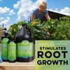 Microbe Life Hydroponics Additive Kit, Includes One 16-Ounce Bottle Each