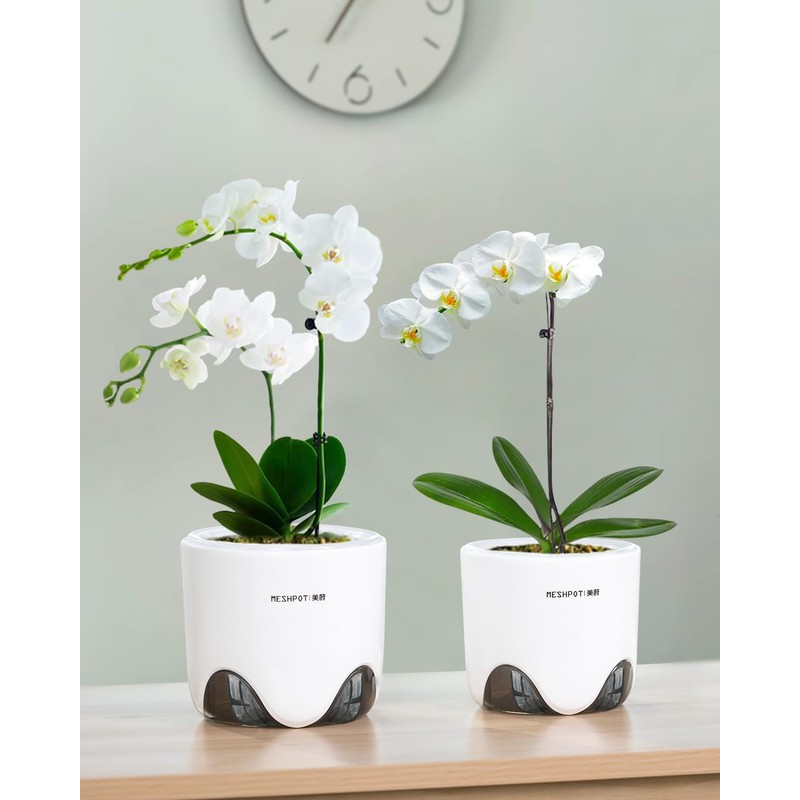 6 inch Orchid Pots with Holes for Repotting with Excellent