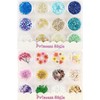 Princess-style Nail Parts, Small, Resin Parts, Enclosed Parts, Blue, Pink,