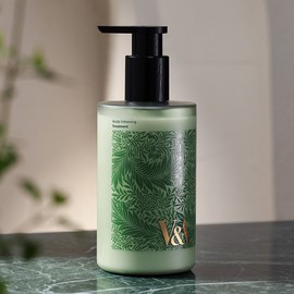 V&amp;A Scalp Enhancing Treatment